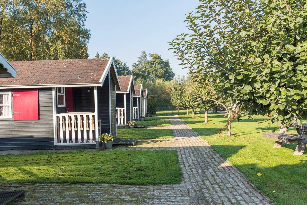 Dromen bij de boer in Epe, IJssel