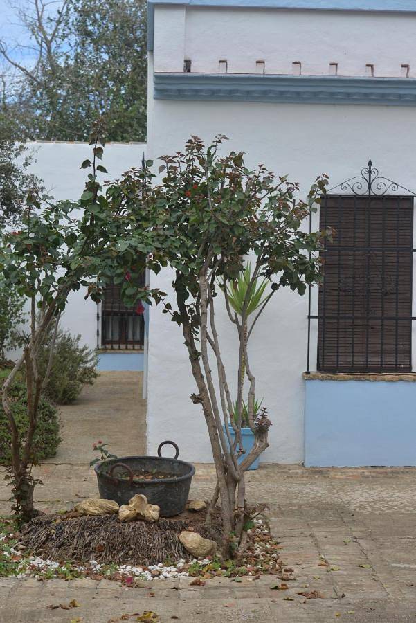 Villa in Manzanilla, Provincia de Huelva