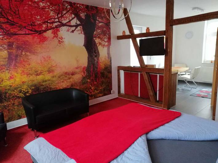 Ferienwohnung für 3 Personen, mit Terrasse und Garten in Blankenburg - 2