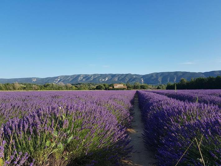 Gîte pour 2 personnes, avec jardin et piscine ainsi que terrasse et vue à Viens - 4