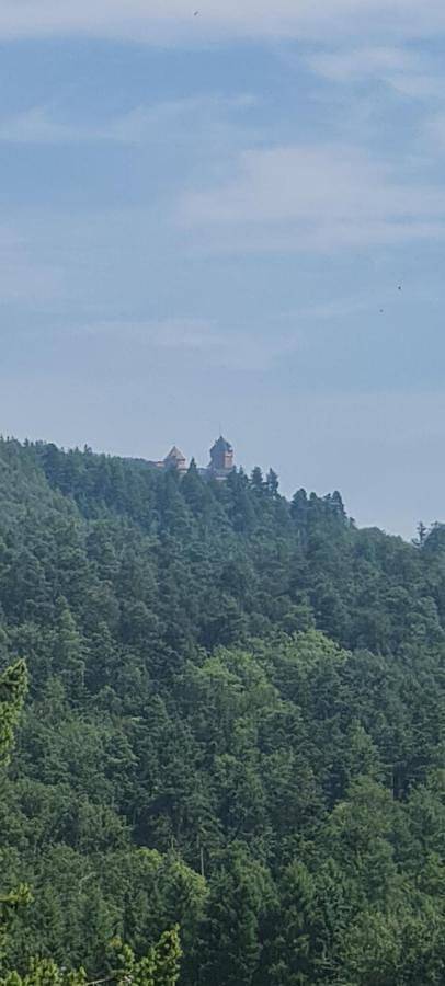 Gîte pour 4 personnes, avec terrasse et vue, animaux acceptés à Thannenkirch - 3
