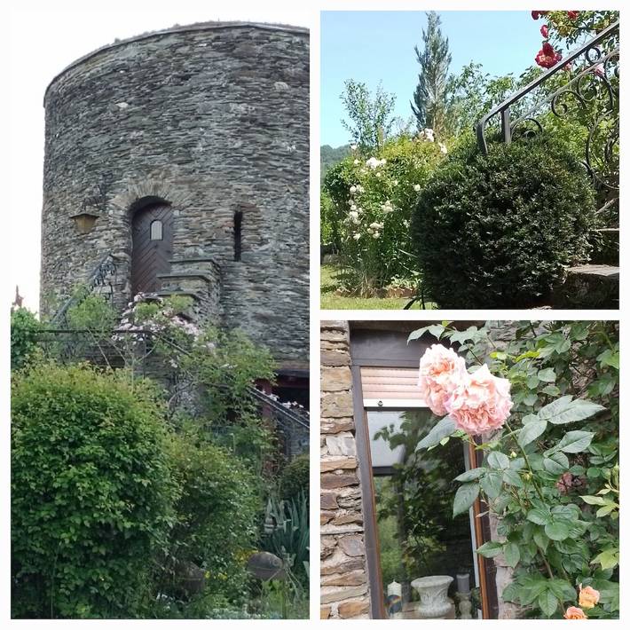 Ferienhaus für 3 Personen, mit Garten im Rheingau