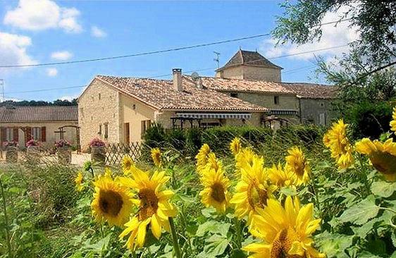 Gîte pour 20 personnes, avec jardin et terrasse ainsi que piscine et jacuzzi