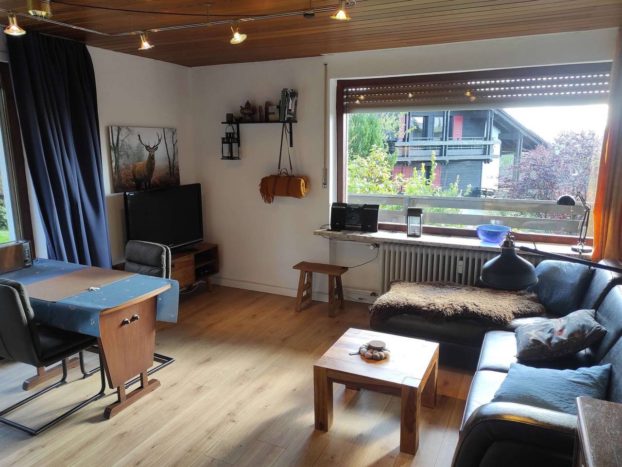 Ganze Ferienwohnung, Fewo Falkennest - Fewo Falkennest in Sankt Andreasberg, Braunlage