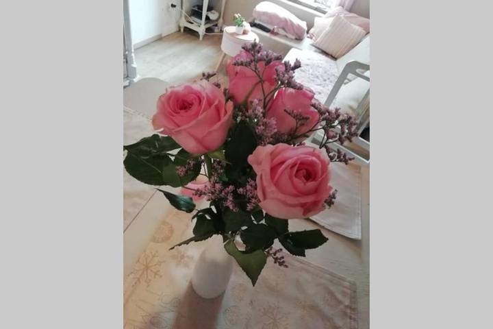 Gîte pour 4 personnes, avec jardin, animaux acceptés à Raeren - 4