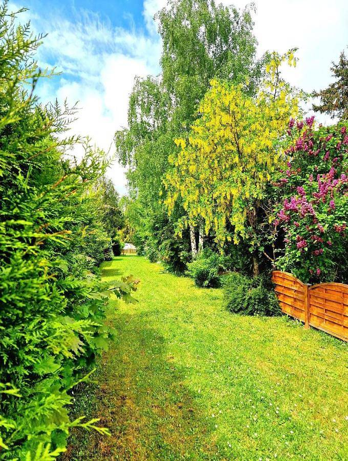 Gîte pour 4 personnes, avec jardin, animaux acceptés dans Villemer