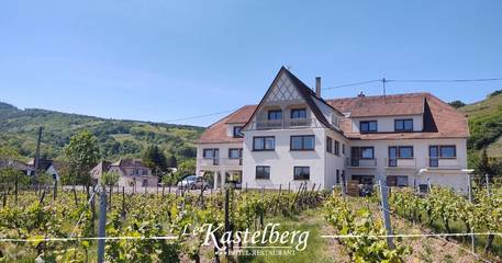 Hôtel pour 2 personnes, avec jardin, animaux acceptés à Andlau