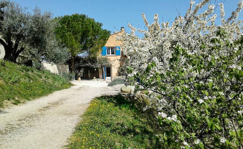 Bleu Du Calvaire au milieu des Oliviers in Mirabel-aux-Baronnies, Nyons region
