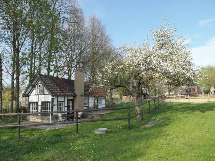 Parc de vacances pour 4 personnes, avec vue et jardin, adapté aux familles dans Noorbeek - 3