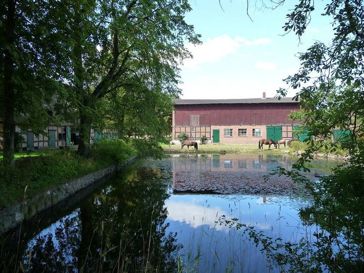 Ferienhaus für 4 Personen, mit Balkon und Terrasse sowie Garten und Sauna in Rabenholz - 3