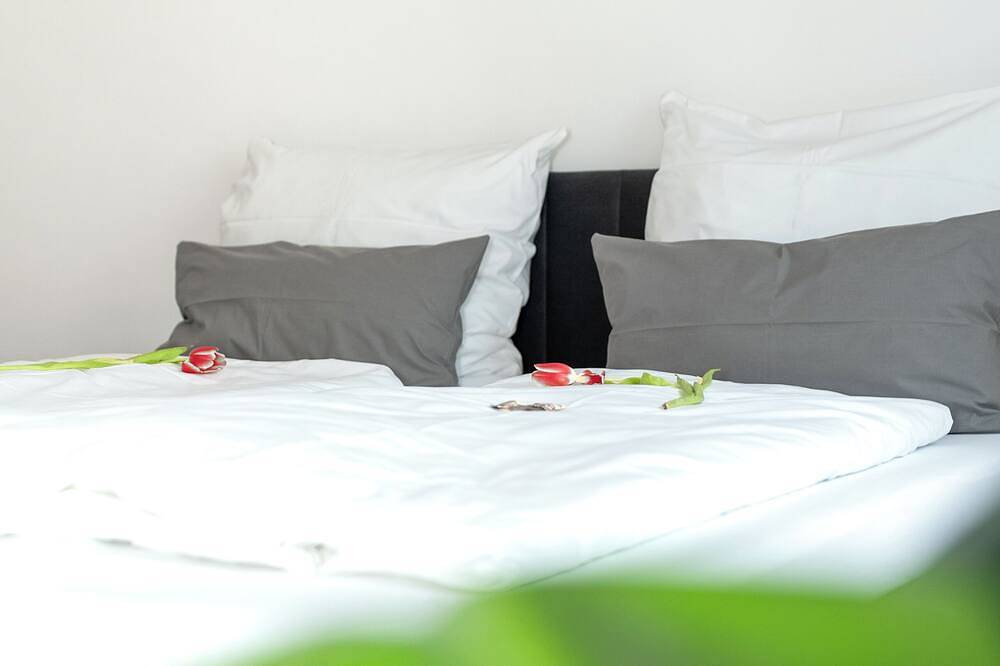 Ganze Wohnung, Keyhosting: Großes-Apartment - Zentral - Parkplatz - Netflix - 8Gäste in Aschaffenburg, Spessart