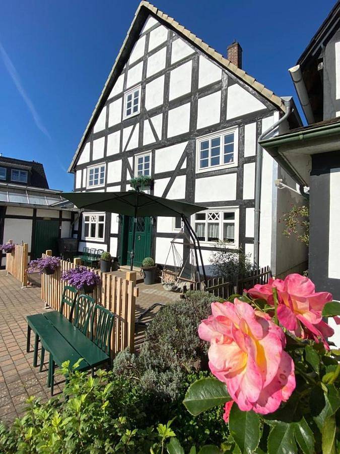 Fachwerkhaus im Sauerland - Goldhase Anno 1700 in Medebach, Hochsauerlandkreis
