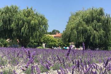 Agriturismo für 9 Personen, mit Garten und Pool in der Provence