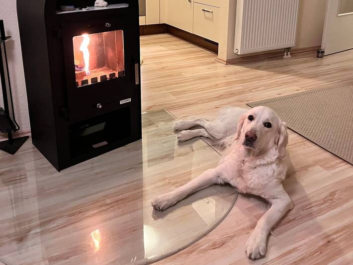 Ferienwohnung für 5 Personen, mit Balkon, mit Haustier in Graal-Müritz