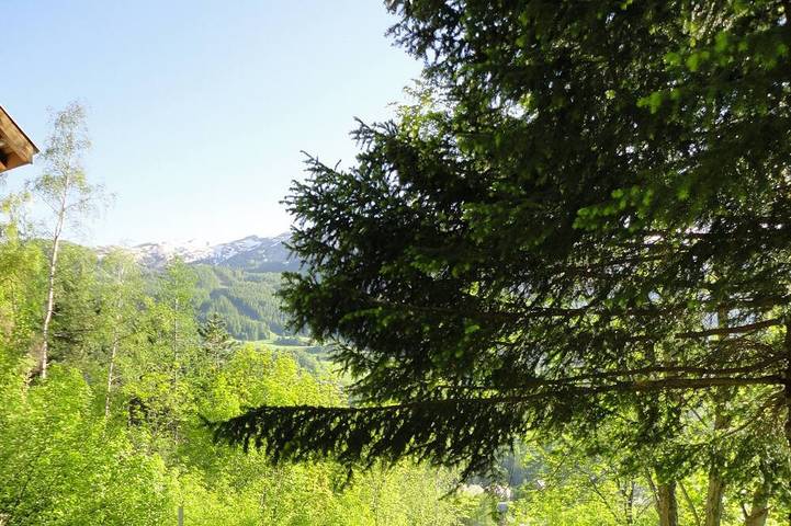 Gîte pour 4 personnes, avec jardin dans Val d'Allos - Le Seignus - 3