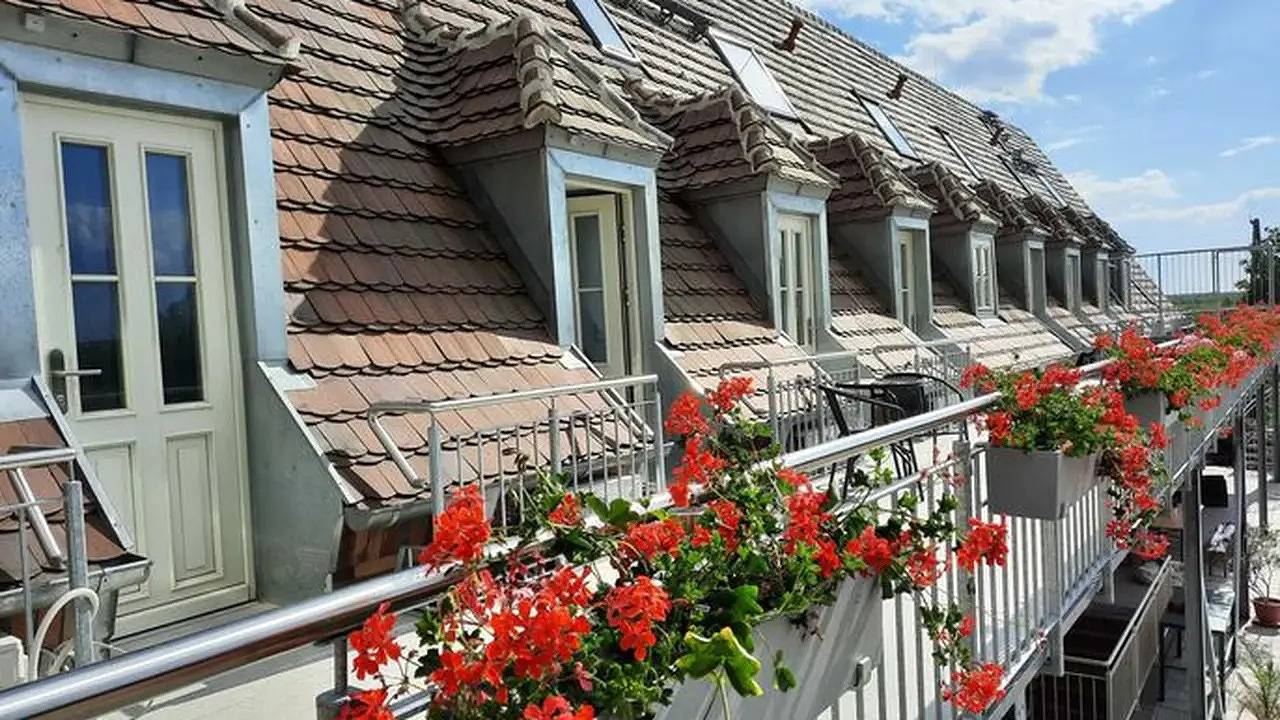 Ganze Ferienwohnung, Ferienwohnung für 3 Personen (25 m²) in Senftenberg in Senftenberger See, Senftenberg