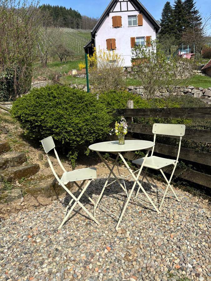 Location de vacances pour 4 personnes, avec terrasse, animaux acceptés à Bernardvillé - 3