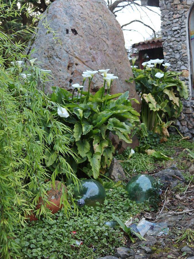 Casa rural para 6 personas, con jardín además de vistas y terraza, Se admiten mascotas en Grado - 4