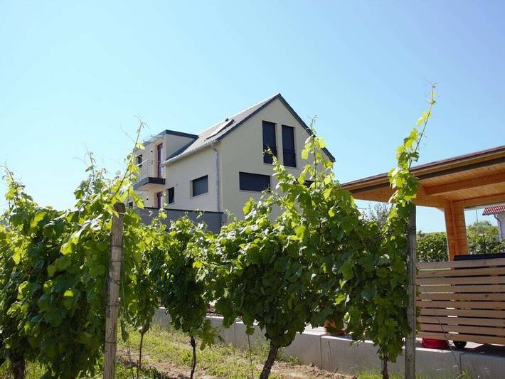 Ferienhaus für 5 Personen in Rhein (Deutschland) - 3