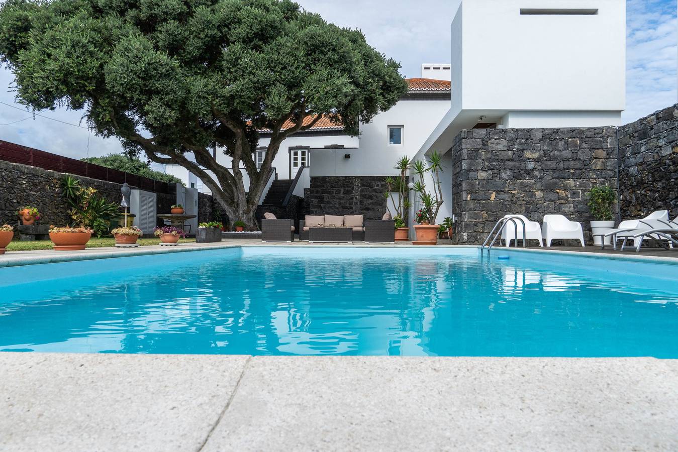 Casa da Árvore - Villa in Isla de San Miguel, Calhetas