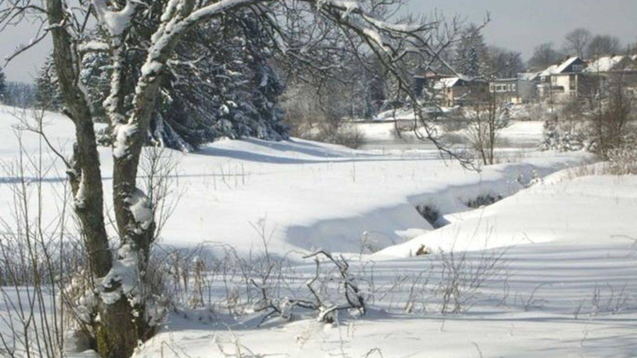 Ganze Ferienwohnung, Ferienwohnung für 3 Personen (42 m²) in Buntenbock in Buntenbock, Clausthal-Zellerfeld