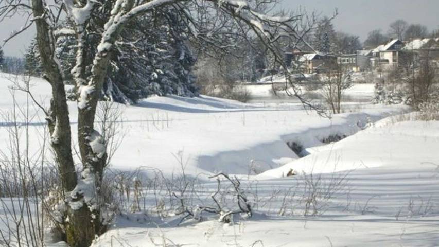 Ferienwohnung für 3 Personen, mit Garten und Terrasse in Buntenbock - 4