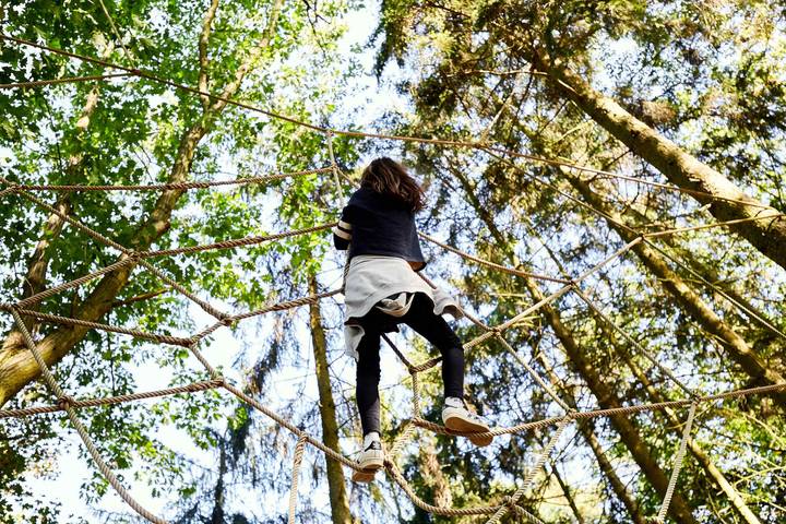Ferienhaus für 5 Personen, mit Garten in Mecklenburgische Seenplatte - 4