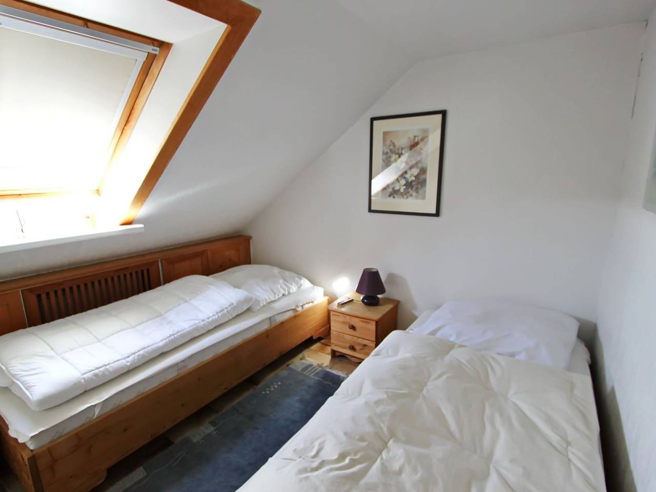 Ganze Ferienwohnung, Lachmöwe - Lachmöwe in Hörnum, Sylt