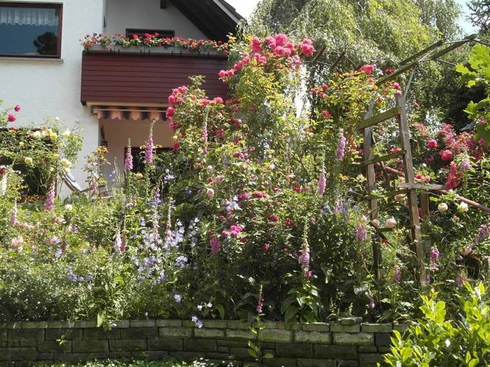 Im romantischen Rheintal bei Bonn in Rheinbreitbach, Landkreis Neuwied