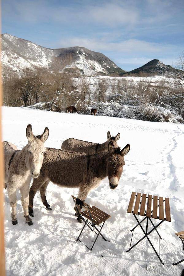 Location de vacances pour 2 personnes, avec jardin à Escouloubre - 2