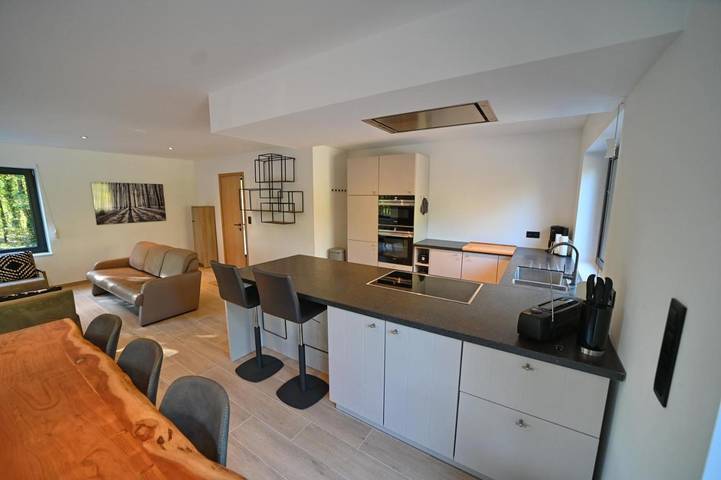 Location de vacances pour 6 personnes, avec terrasse ainsi que jardin et jacuzzi dans Baillonville - 4