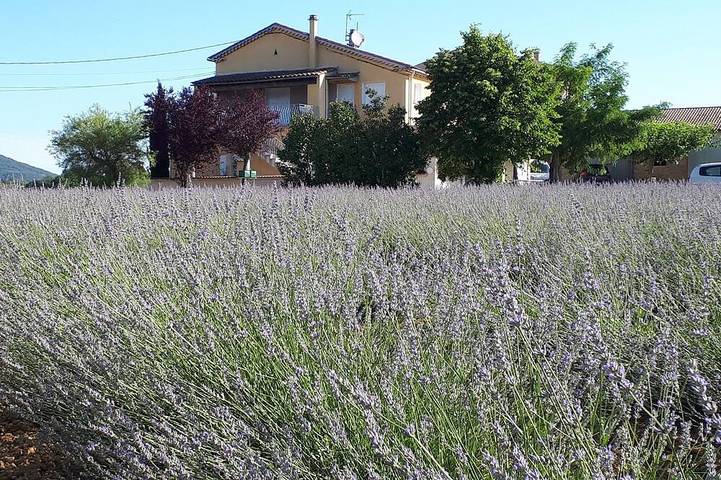 Gîte pour 6 personnes, avec piscine ainsi que jardin et balcon à Saint-Victor-de-Malcap