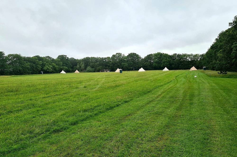 Beautiful Location.Open Skies. Easy access London 1h.Sole use 7 tents.Est 10yrs. in High Halden, Ashford region