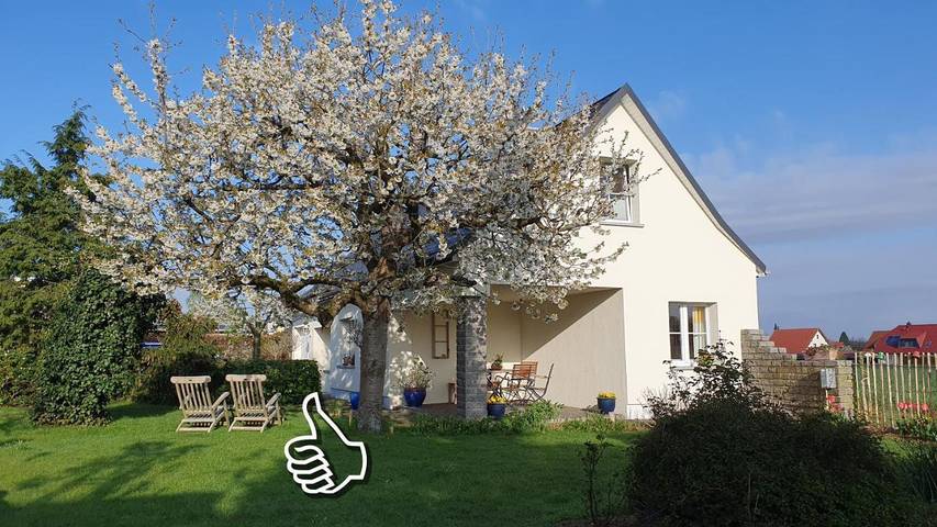 Ferienhaus für 5 Personen, mit Terrasse und Garten sowie Ausblick in Sächsisches Elbland