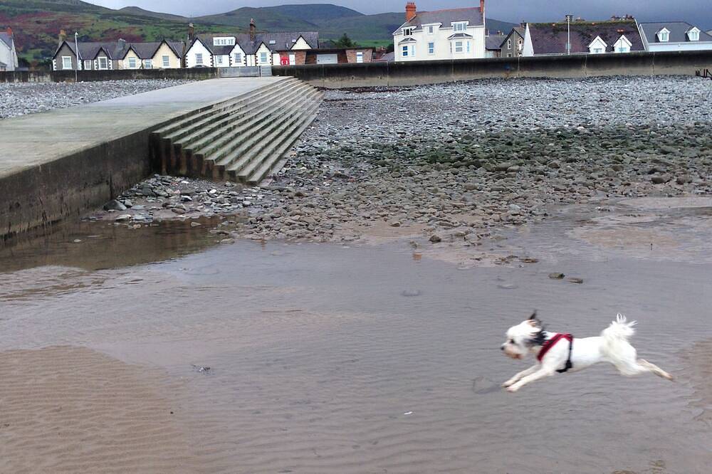 Seaside Cottage, Dogs Welcome - good walks, by beach & Snowdonia National Park in Llanfairfechan, Snowdonia