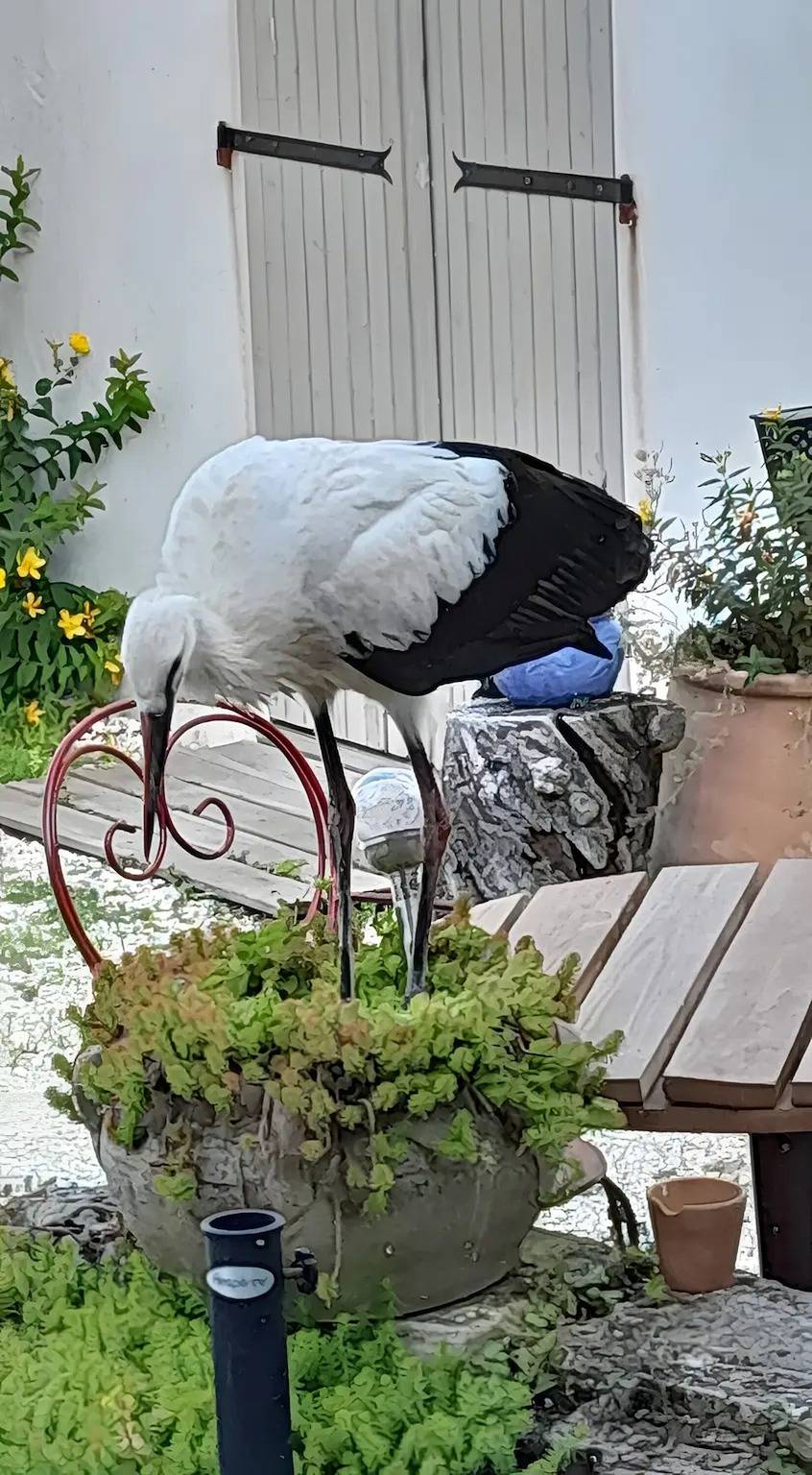 Chambres d'hôtes La Marouette 2 avec terrasse partagée et Wi-Fi in Hiers-Brouage, Côte de Beauté