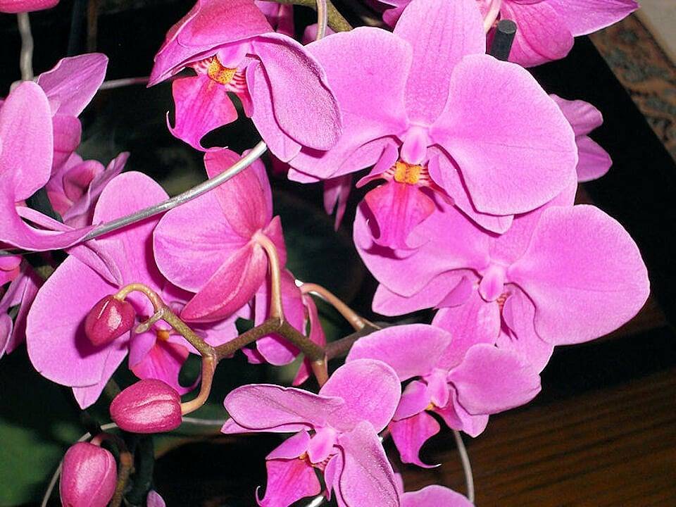 Etape Zen - Chambre Zen in Illiers-Combray, Région de Chartres