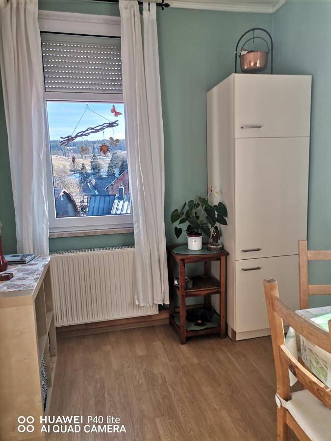Ganze Wohnung, One-Bedroom Apartment in Stützerbach, Rennsteig