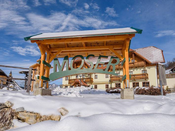 Hotel für 2 Personen, mit Sauna und Garten sowie Terrasse, mit Haustier in St. Lambrecht - 4