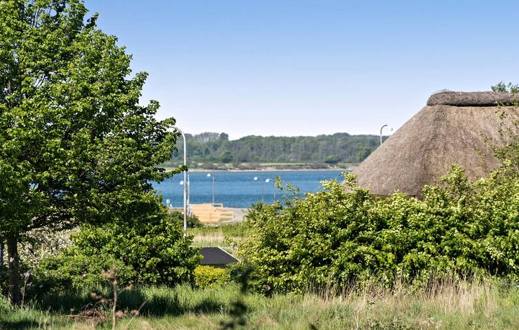 Ferienhaus für 5 Personen, mit Garten in Årø - 4