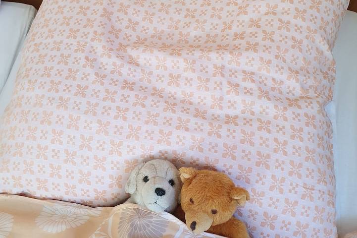 Ferienhaus für 5 Personen, mit Sauna und Garten in Magdeburg - 4