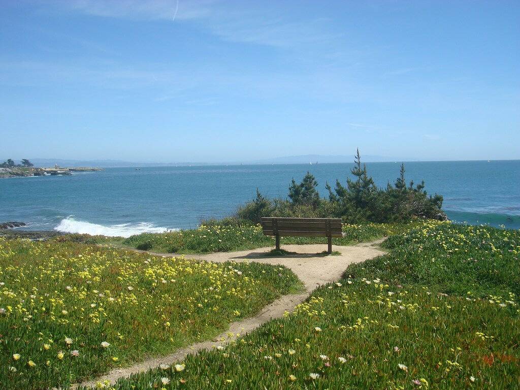 West Cliff Hideaway ~ 1 Bdrm, in der Nähe von Meer, Wäscherei, Küche, Grill, volle Ausstattung! in Santa Cruz, Santa Cruz County