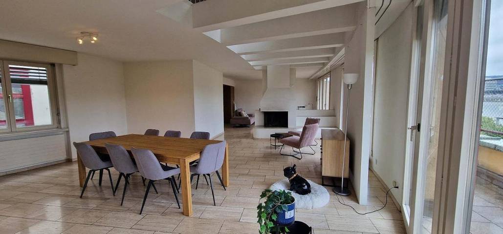 Ferienwohnung für 9 Personen, mit Terrasse und Sauna - 1