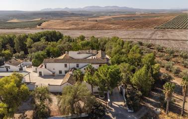 Ferienhaus für 20 Personen in Santaella, Córdoba Provinz, Bild 1