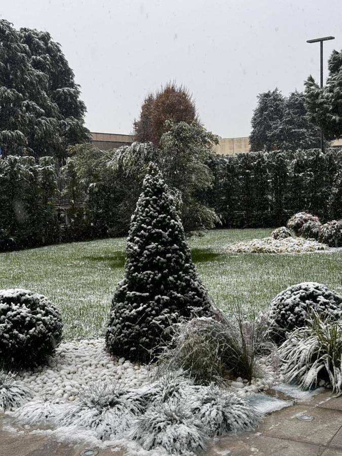 Chambre d’hôte pour 2 personnes, avec vue et jardin à Grassobbio