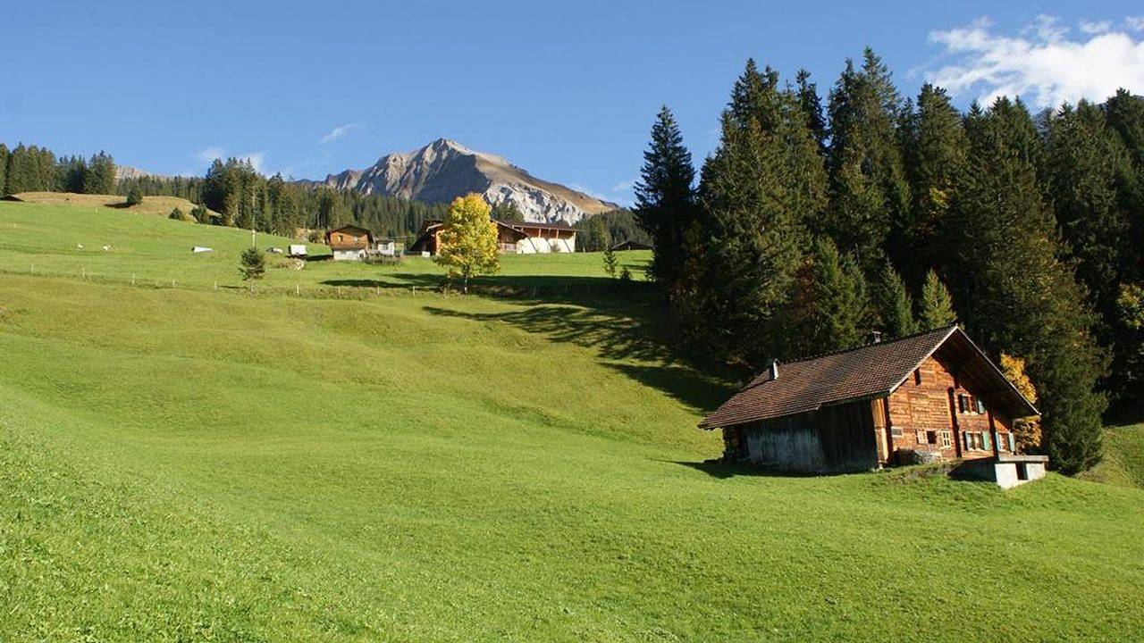 Ferienhaus für 8 Personen (64 m²) in Adelboden in Adelboden, Frutigen - Lenk - Adelboden