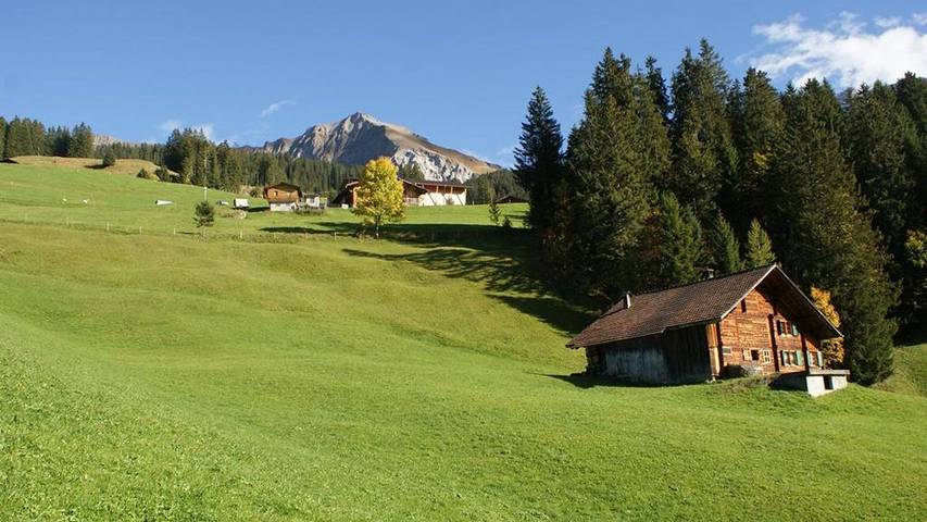 Ferienhaus für 8 Personen, mit Terrasse, mit Haustier in der Schweiz - 2