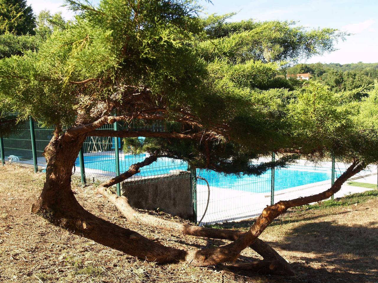 Gîte for 4 Guests in Saint-Salvy-de-la-Balme, Tarn