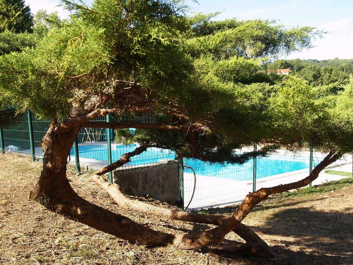 Gîte pour 4 personnes, avec Terrasse ainsi que Jardin et Piscine à Boissezon
