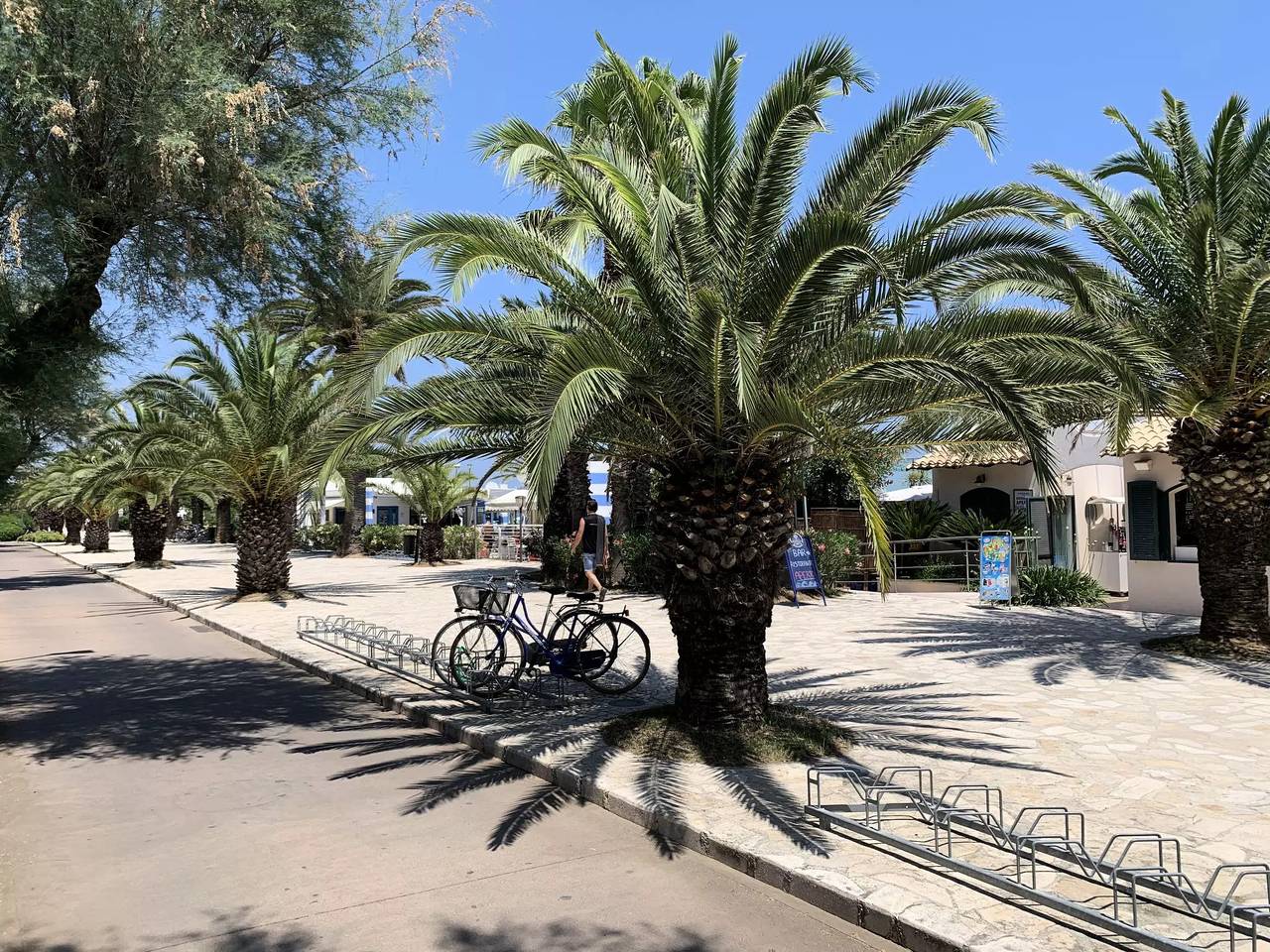 Ganze Wohnung, 2 Zimmer 4 Personen in Porto d'Ascoli, Riviera delle Palme